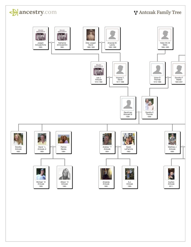 Family View - Family Tree Ancestry 123